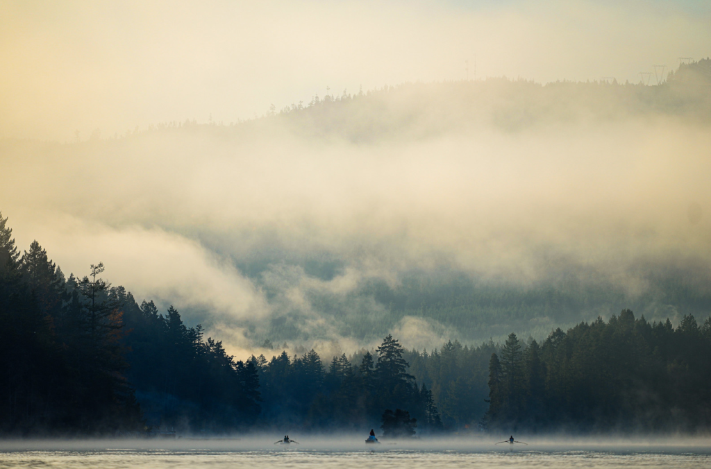 Schüler rudern bei Morgennebel auf einem See umgeben von Wald auf Vancouver Island British Columbia