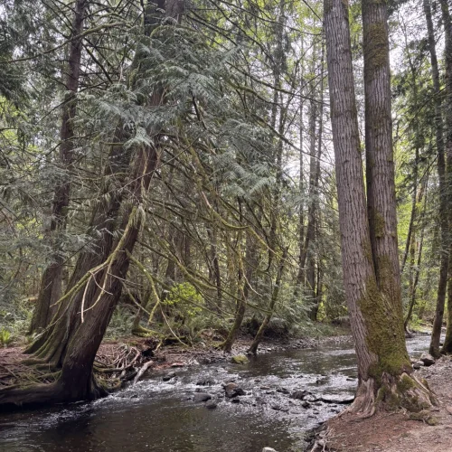 Shawnigan Lake School – Naturgelände mit Bach auf dem Internatsgelände