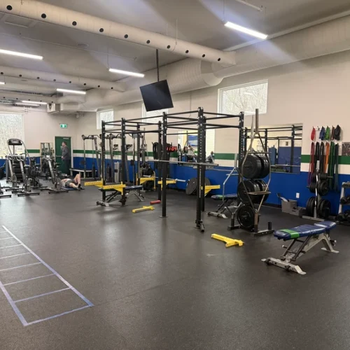 Rothesay Netherwood School – Moderner Fitnessraum mit Kraft- und Cardiogeräten für Schüler
